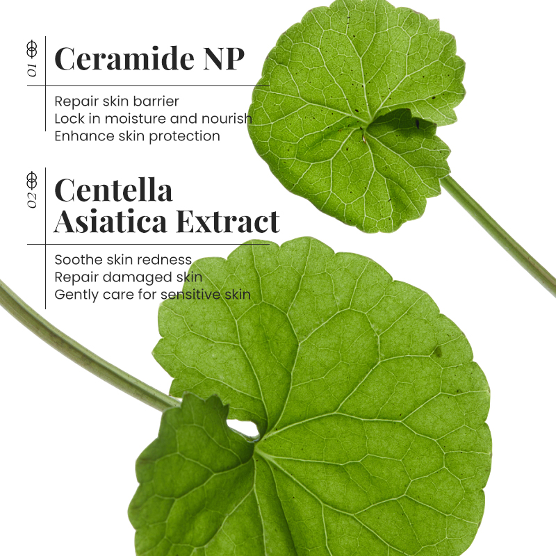 Ceramide Face Cream Skin Barri – обзор и цена Ceramide Moisturizer